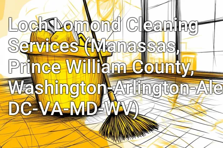 Loch Lomond Cleaning Services (Manassas, Prince William County, Washington-Arlington-Alexandria, DC-VA-MD-WV)