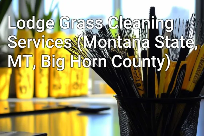 Lodge Grass Cleaning Services (Montana State, MT, Big Horn County)