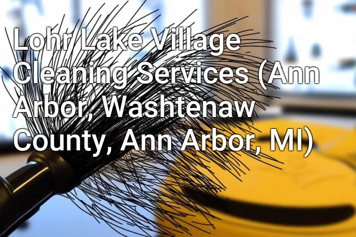 Lohr Lake Village Cleaning Services (Ann Arbor, Washtenaw County, Ann Arbor, MI)