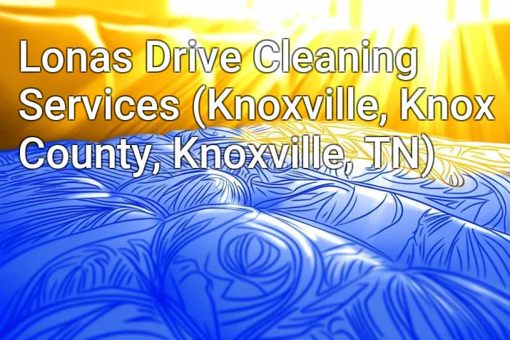 Lonas Drive Cleaning Services (Knoxville, Knox County, Knoxville, TN)