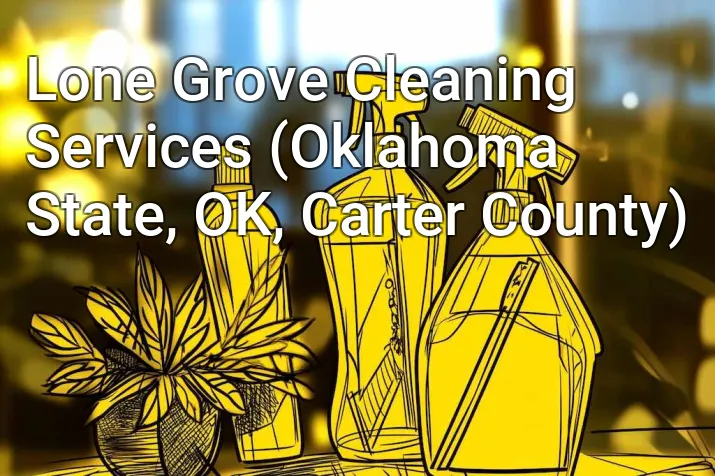 Lone Grove Cleaning Services (Oklahoma State, OK, Carter County)