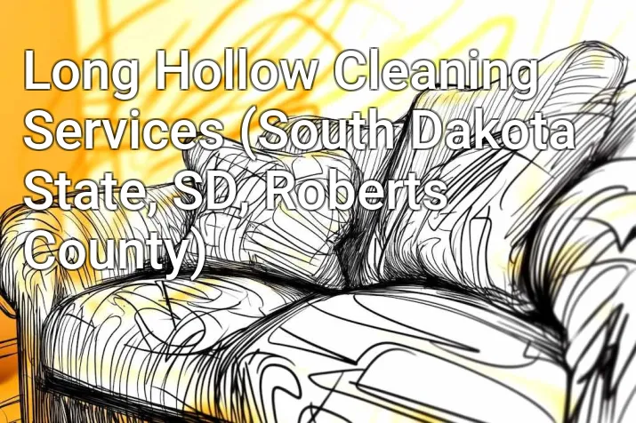 Long Hollow Cleaning Services (South Dakota State, SD, Roberts County)