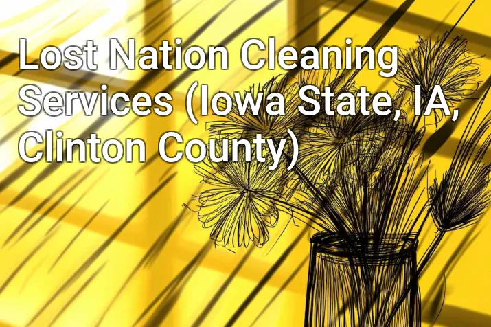 Lost Nation Cleaning Services (Iowa State, IA, Clinton County)