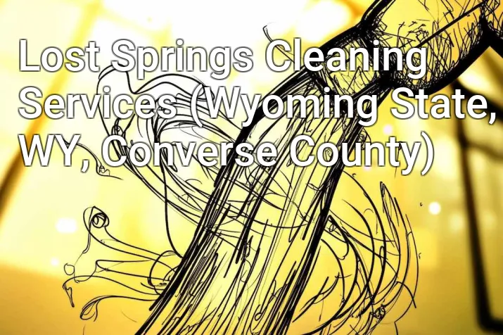 Lost Springs Cleaning Services (Wyoming State, WY, Converse County)