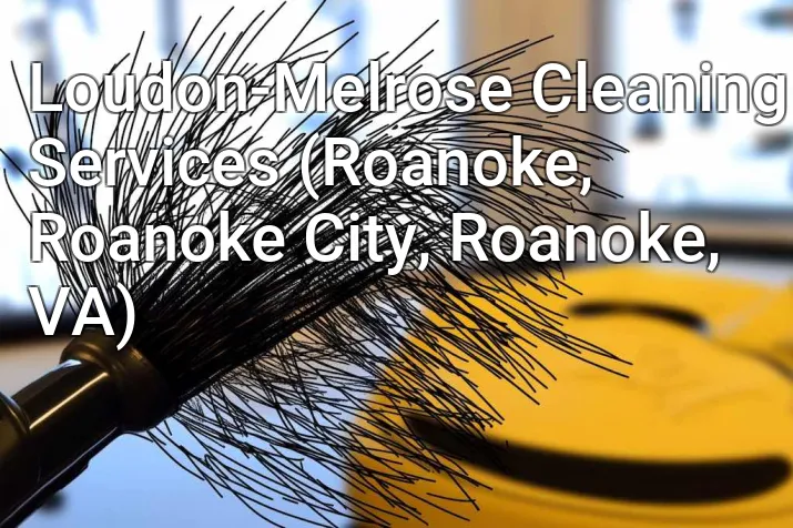 Loudon-Melrose Cleaning Services (Roanoke, Roanoke City, Roanoke, VA)
