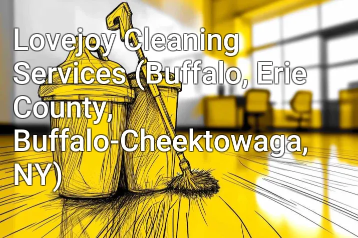 Lovejoy Cleaning Services (Buffalo, Erie County, Buffalo-Cheektowaga, NY)