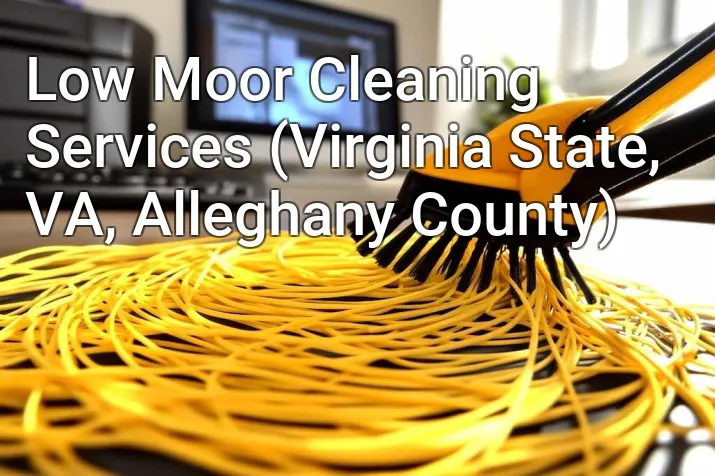 Low Moor Cleaning Services (Virginia State, VA, Alleghany County)