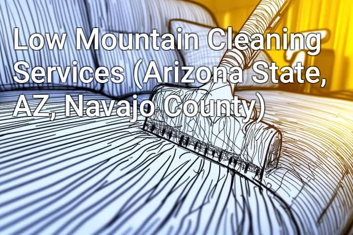 Low Mountain Cleaning Services (Arizona State, AZ, Navajo County)