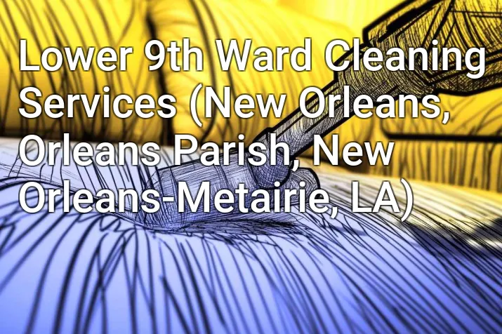 Lower 9th Ward Cleaning Services (New Orleans, Orleans Parish, New Orleans-Metairie, LA)