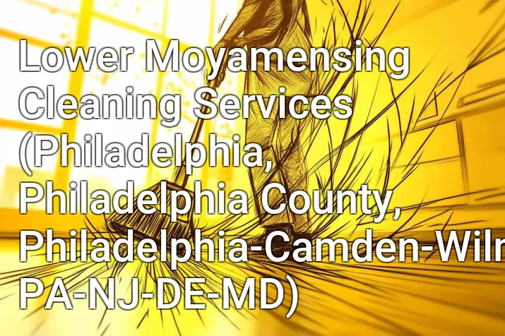 Lower Moyamensing Cleaning Services (Philadelphia, Philadelphia County, Philadelphia-Camden-Wilmington, PA-NJ-DE-MD)