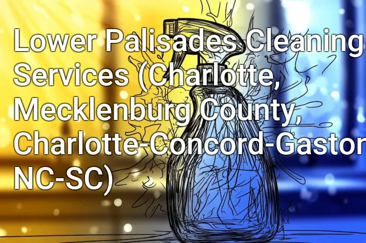 Lower Palisades Cleaning Services (Charlotte, Mecklenburg County, Charlotte-Concord-Gastonia, NC-SC)