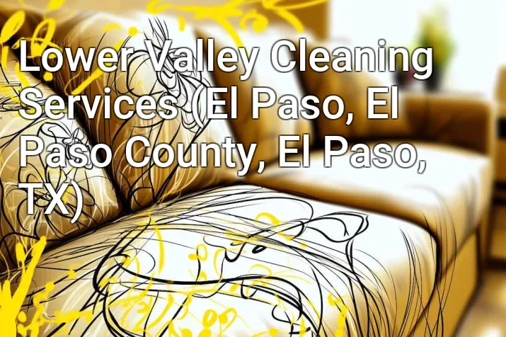 Lower Valley Cleaning Services (El Paso, El Paso County, El Paso, TX)