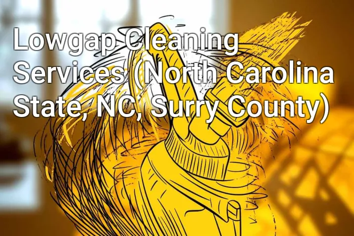 Lowgap Cleaning Services (North Carolina State, NC, Surry County)