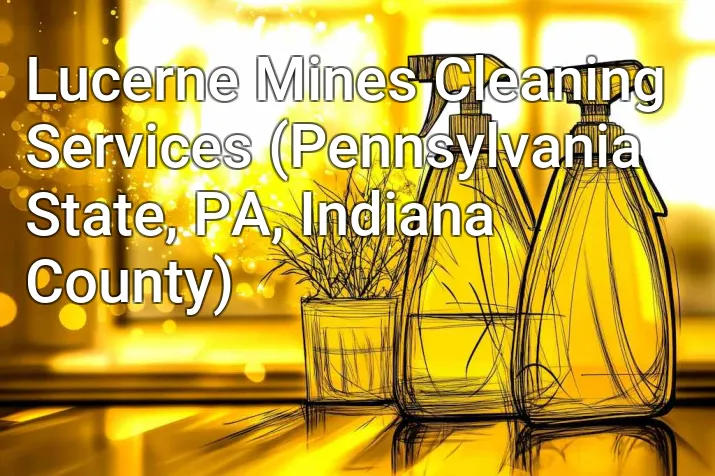 Lucerne Mines Cleaning Services (Pennsylvania State, PA, Indiana County)