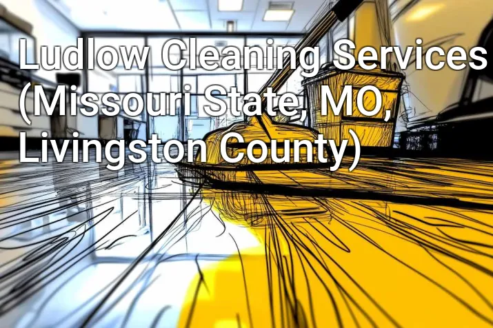 Ludlow Cleaning Services (Missouri State, MO, Livingston County)