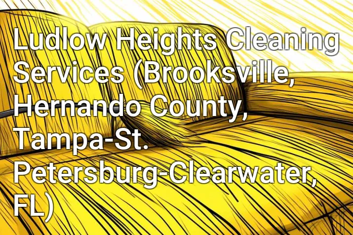 Ludlow Heights Cleaning Services (Brooksville, Hernando County, Tampa-St. Petersburg-Clearwater, FL)