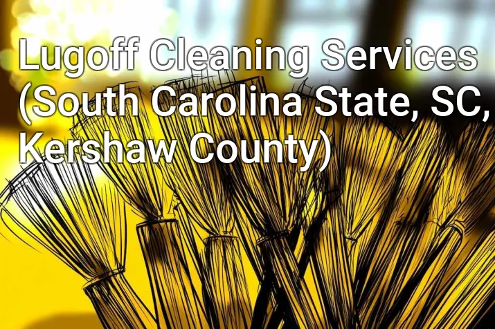 Lugoff Cleaning Services (South Carolina State, SC, Kershaw County)