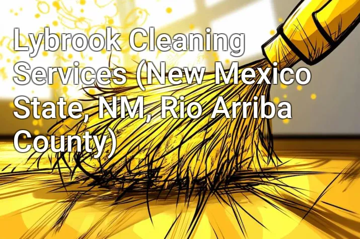 Lybrook Cleaning Services (New Mexico State, NM, Rio Arriba County)