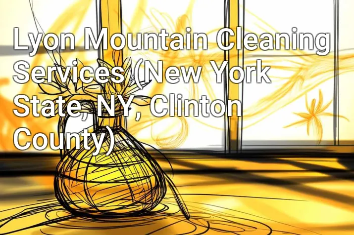 Lyon Mountain Cleaning Services (New York State, NY, Clinton County)