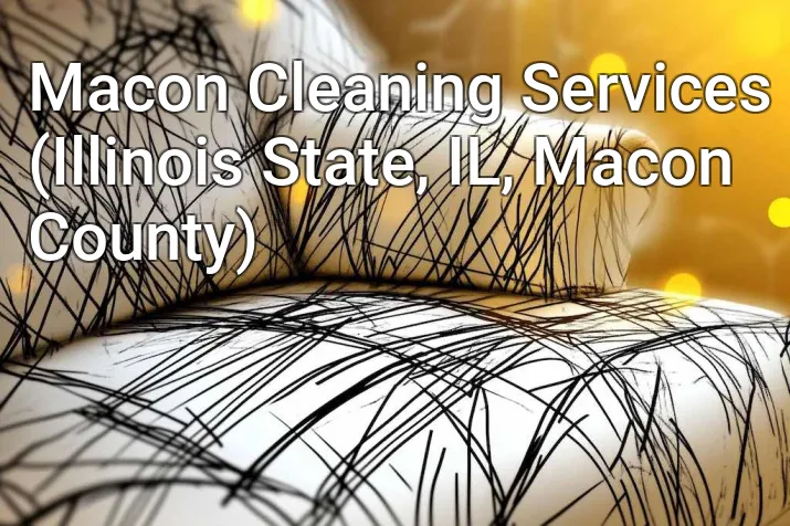 Macon Cleaning Services (Illinois State, IL, Macon County)