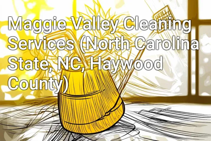 Maggie Valley Cleaning Services (North Carolina State, NC, Haywood County)