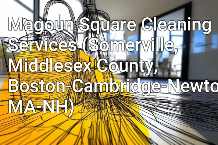 Magoun Square Cleaning Services (Somerville, Middlesex County, Boston-Cambridge-Newton, MA-NH)