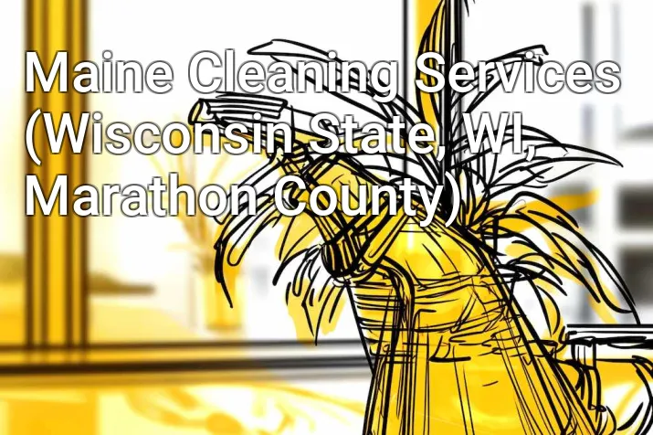 Maine Cleaning Services (Wisconsin State, WI, Marathon County)