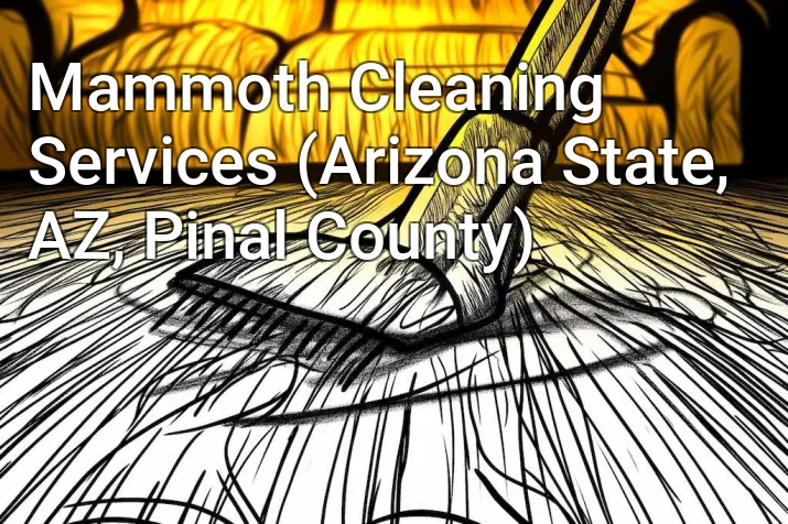 Mammoth Cleaning Services (Arizona State, AZ, Pinal County)