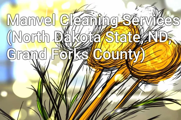 Manvel Cleaning Services (North Dakota State, ND, Grand Forks County)