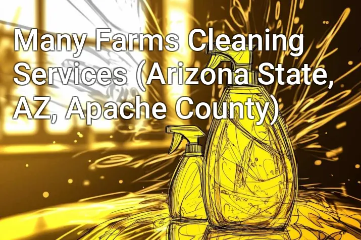 Many Farms Cleaning Services (Arizona State, AZ, Apache County)