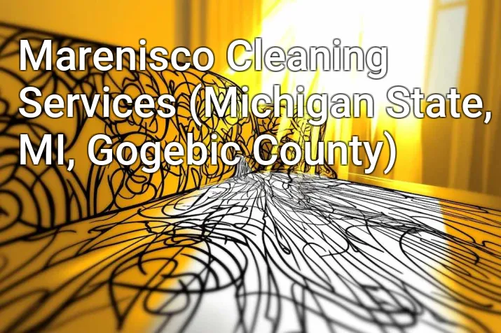 Marenisco Cleaning Services (Michigan State, MI, Gogebic County)