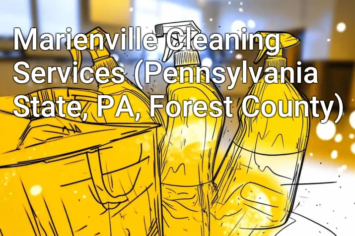 Marienville Cleaning Services (Pennsylvania State, PA, Forest County)