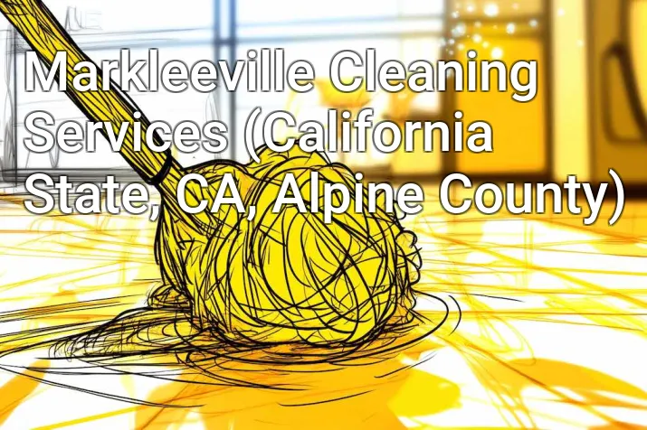 Markleeville Cleaning Services (California State, CA, Alpine County)