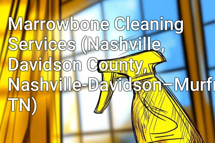 Marrowbone Cleaning Services (Nashville, Davidson County, Nashville-Davidson–Murfreesboro–Franklin, TN)