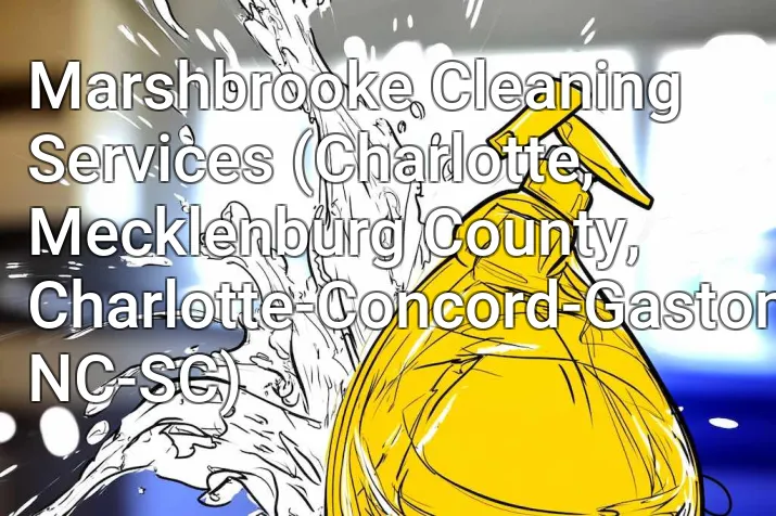 Marshbrooke Cleaning Services (Charlotte, Mecklenburg County, Charlotte-Concord-Gastonia, NC-SC)