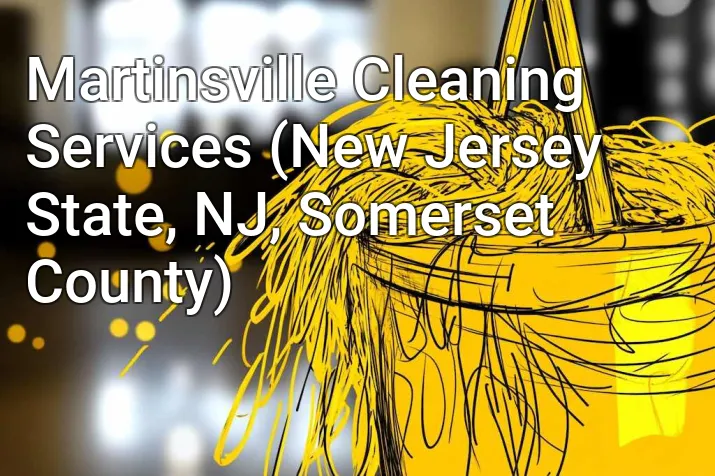 Martinsville Cleaning Services (New Jersey State, NJ, Somerset County)