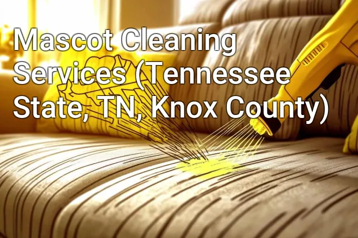 Mascot Cleaning Services (Tennessee State, TN, Knox County)