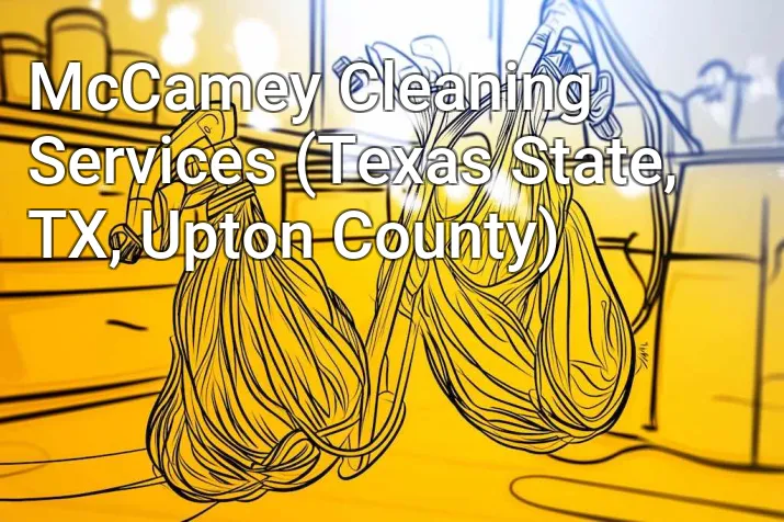 McCamey Cleaning Services (Texas State, TX, Upton County)