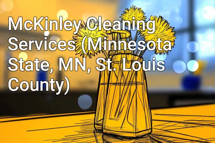 McKinley Cleaning Services (Minnesota State, MN, St. Louis County)