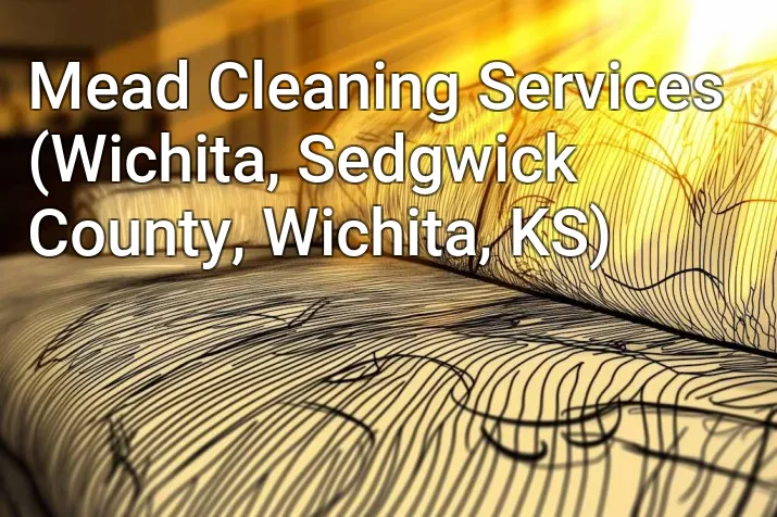 Mead Cleaning Services (Wichita, Sedgwick County, Wichita, KS)