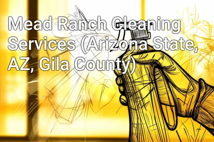 Mead Ranch Cleaning Services (Arizona State, AZ, Gila County)