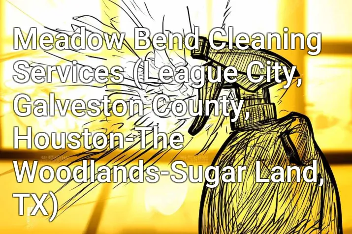Meadow Bend Cleaning Services (League City, Galveston County, Houston-The Woodlands-Sugar Land, TX)