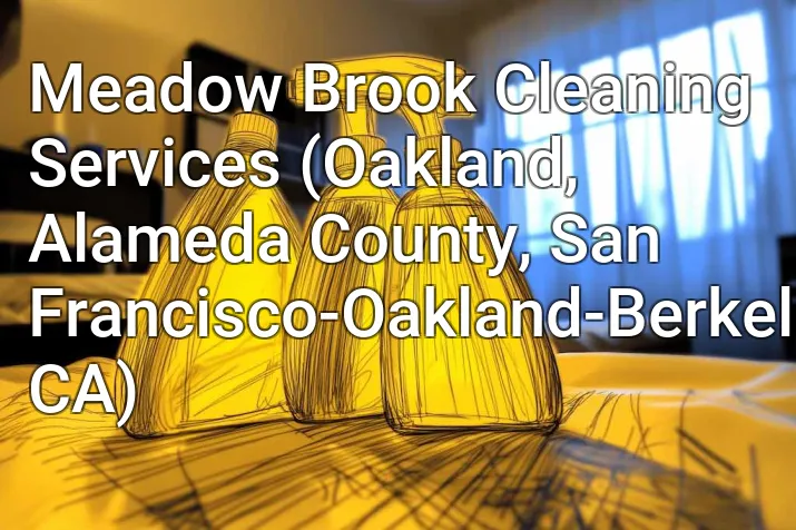Meadow Brook Cleaning Services (Oakland, Alameda County, San Francisco-Oakland-Berkeley, CA)