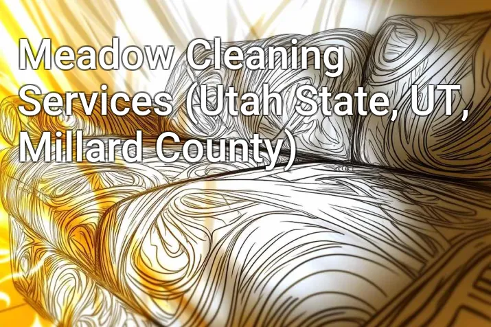 Meadow Cleaning Services (Utah State, UT, Millard County)