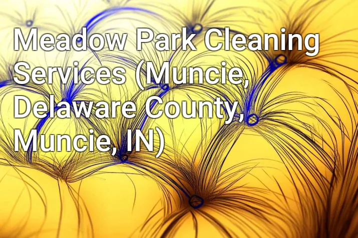 Meadow Park Cleaning Services (Muncie, Delaware County, Muncie, IN)