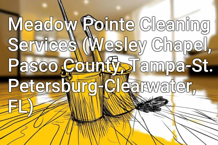 Meadow Pointe Cleaning Services (Wesley Chapel, Pasco County, Tampa-St. Petersburg-Clearwater, FL)