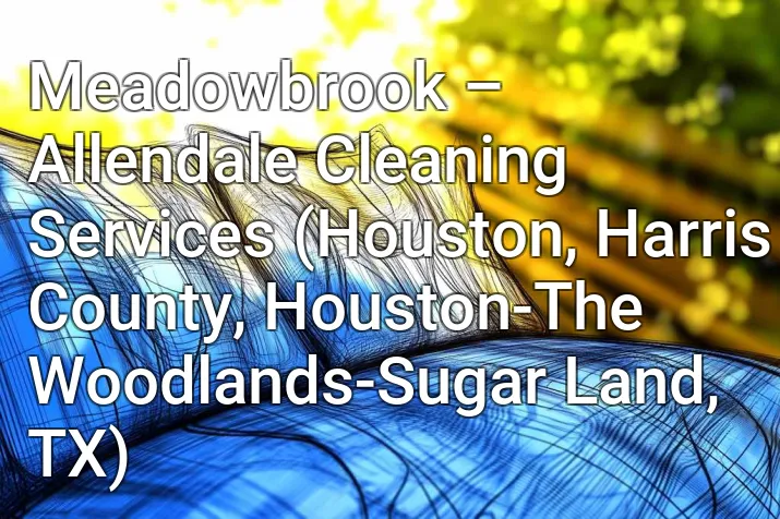 Meadowbrook – Allendale Cleaning Services (Houston, Harris County, Houston-The Woodlands-Sugar Land, TX)