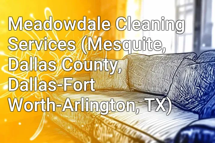 Meadowdale Cleaning Services (Mesquite, Dallas County, Dallas-Fort Worth-Arlington, TX)