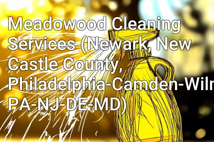 Meadowood Cleaning Services (Newark, New Castle County, Philadelphia-Camden-Wilmington, PA-NJ-DE-MD)