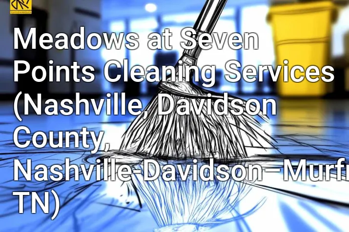 Meadows at Seven Points Cleaning Services (Nashville, Davidson County, Nashville-Davidson–Murfreesboro–Franklin, TN)